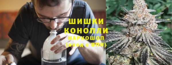 прущий лед Богданович