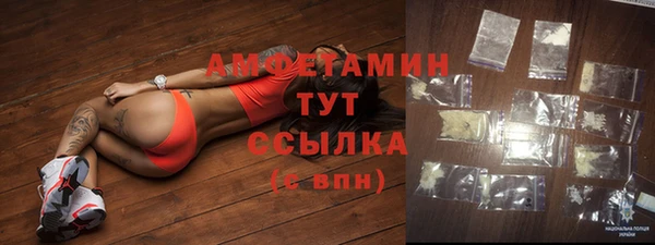 прущий лед Богданович