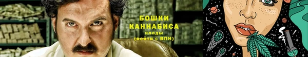 прущий лед Богданович