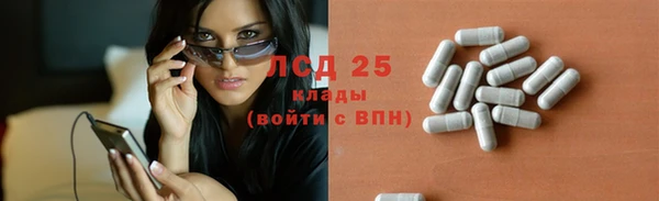 прущий лед Богданович