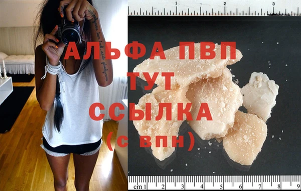 прущий лед Богданович