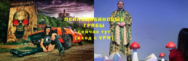 ПСИЛОЦИБИНОВЫЕ ГРИБЫ Богородицк